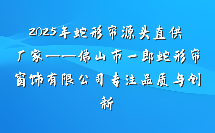 2025年蛇形帘源头直供厂家——佛山市一郎蛇形帘窗饰有限公司专注品质与创新