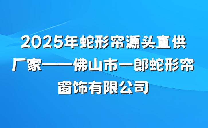 2025年蛇形帘源头直供厂家——佛山市一郎蛇形帘窗饰有限公司