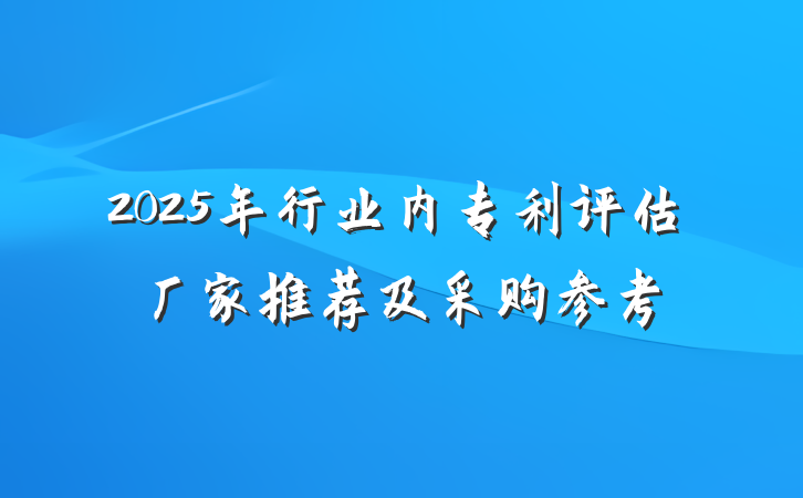 2025年行业内专利评估厂家推荐及采购参考