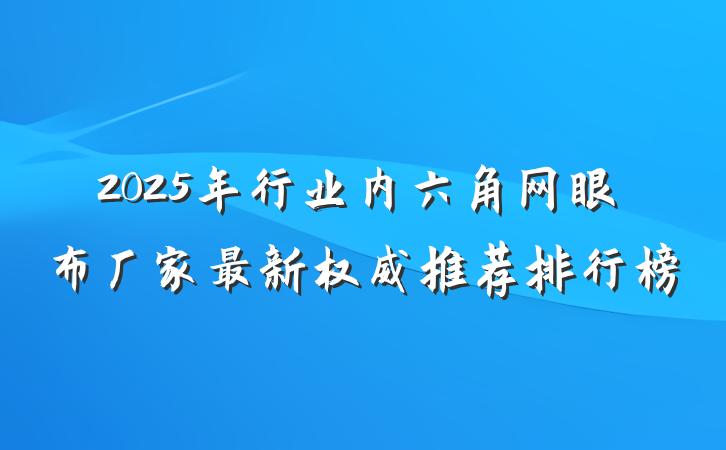 2025年行业内六角网眼布厂家最新权威推荐排行榜
