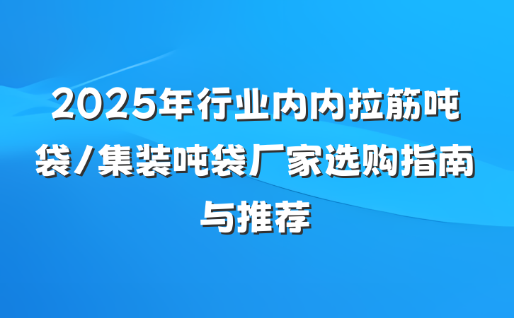 2025年行业内内拉筋吨袋/集装吨袋厂家选购指南与推荐