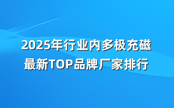 2025年行业内多极充磁最新TOP品牌厂家排行