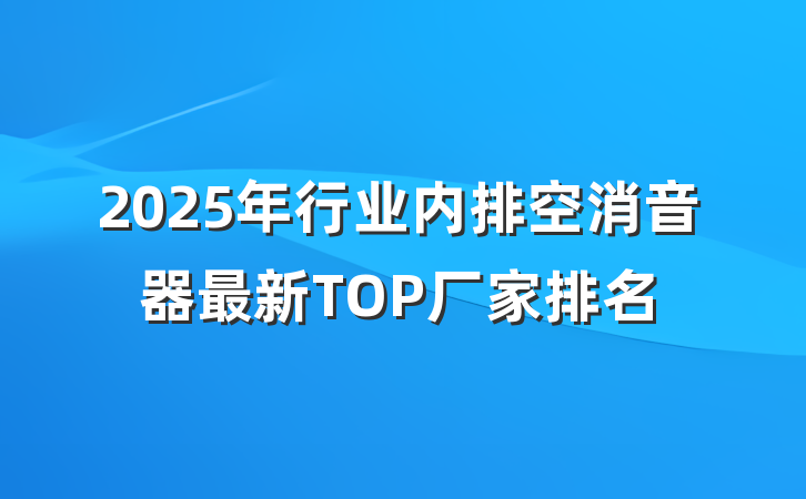 2025年行业内排空消音器最新TOP厂家排名