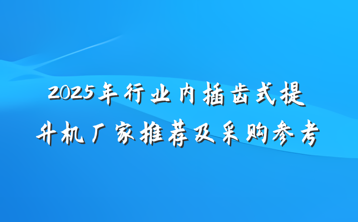 2025年行业内插齿式提升机厂家推荐及采购参考