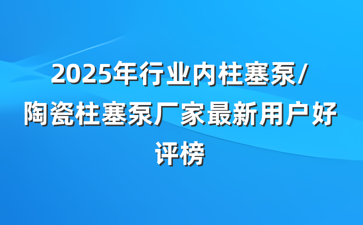 2025年行业内柱塞泵/陶瓷柱塞泵厂家最新用户好评榜