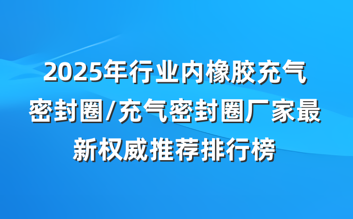 2025年行业内橡胶充气密封圈/充气密封圈厂家最新权威推荐排行榜