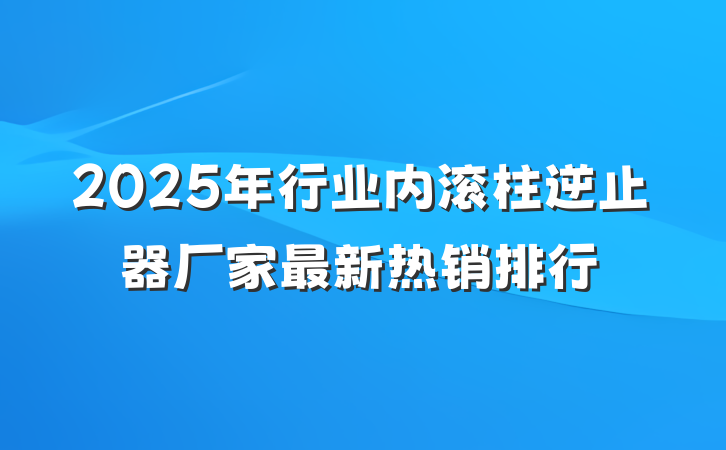 2025年行业内滚柱逆止器厂家最新热销排行