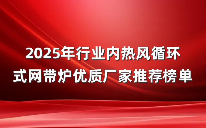 2025年行业内热风循环式网带炉优质厂家推荐榜单