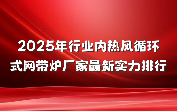 2025年行业内热风循环式网带炉厂家最新实力排行