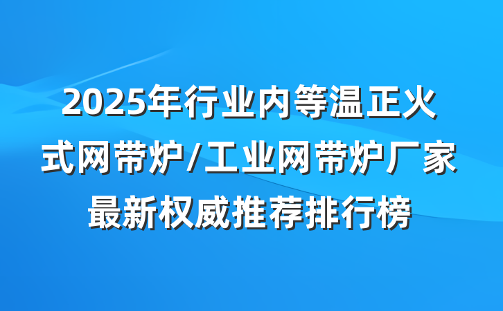 2025年行业内等温正火式网带炉/工业网带炉厂家最新权威推荐排行榜