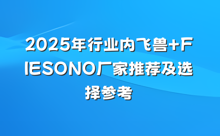 2025年行业内飞兽 FIESONO厂家推荐及选择参考