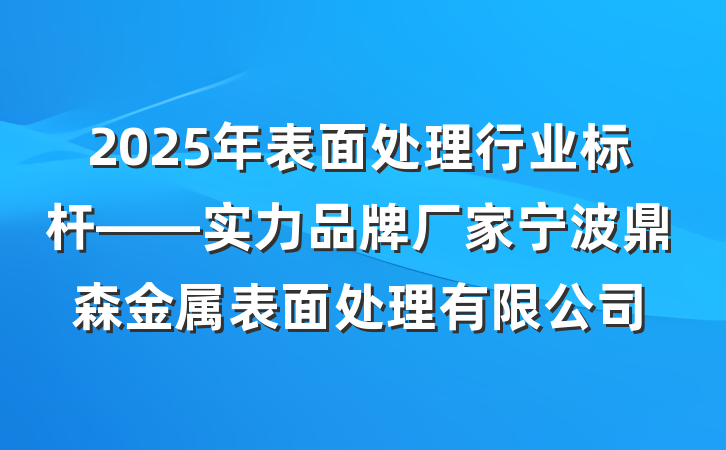 2025年表面处理行业标杆——实力品牌厂家宁波鼎森金属表面处理有限公司