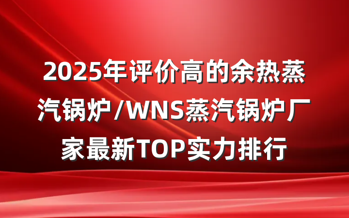 2025年评价高的余热蒸汽锅炉/WNS蒸汽锅炉厂家最新TOP实力排行