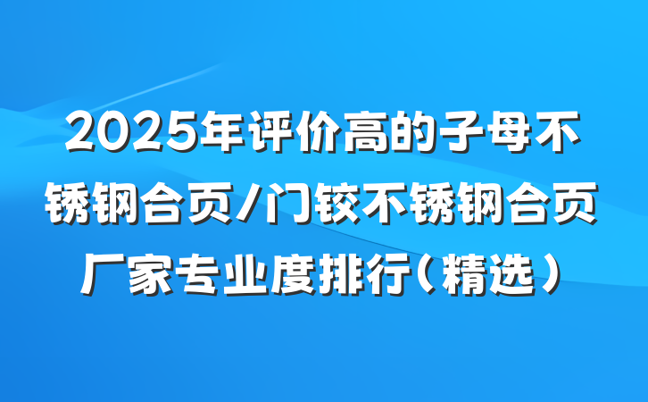 2025年评价高的子母不锈钢合页/门铰不锈钢合页厂家专业度排行(精选)