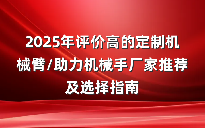 2025年评价高的定制机械臂/助力机械手厂家推荐及选择指南