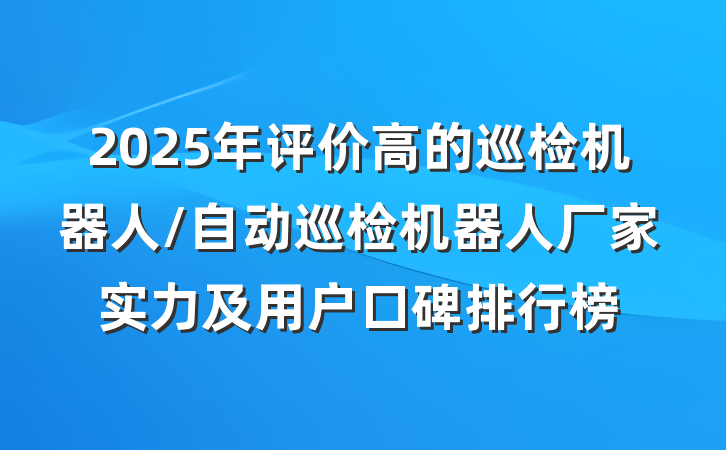 2025年评价高的巡检机器人/自动巡检机器人厂家实力及用户口碑排行榜