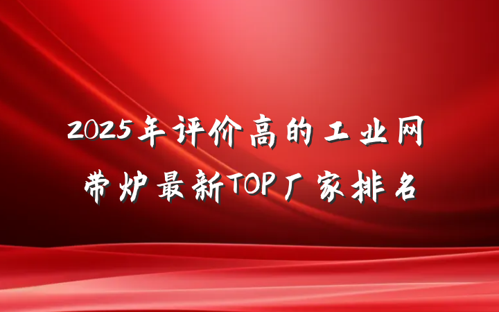 2025年评价高的工业网带炉最新TOP厂家排名