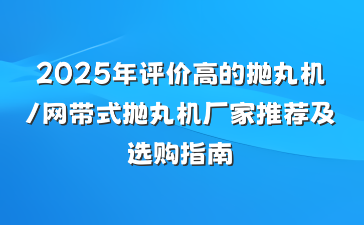 2025年评价高的抛丸机/网带式抛丸机厂家推荐及选购指南