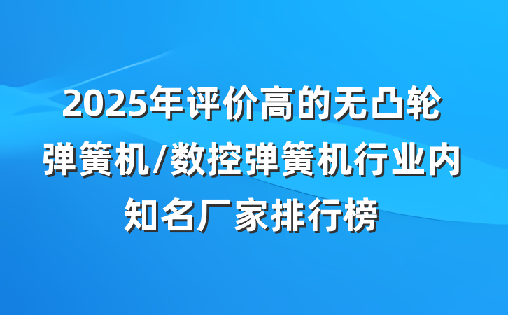 2025年评价高的无凸轮弹簧机/数控弹簧机行业内知名厂家排行榜