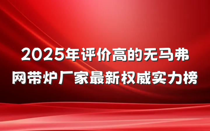 2025年评价高的无马弗网带炉厂家最新权威实力榜