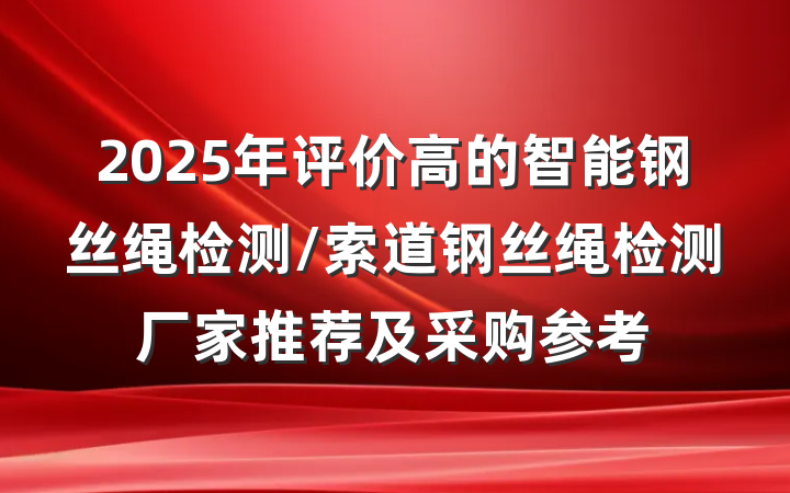 2025年评价高的智能钢丝绳检测/索道钢丝绳检测厂家推荐及采购参考