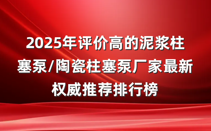 2025年评价高的泥浆柱塞泵/陶瓷柱塞泵厂家最新权威推荐排行榜