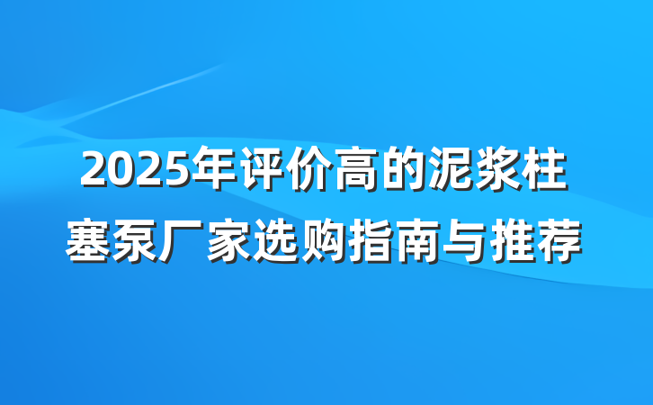 2025年评价高的泥浆柱塞泵厂家选购指南与推荐
