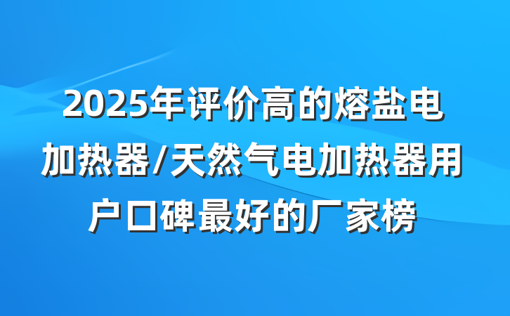 2025年评价高的熔盐电加热器/天然气电加热器用户口碑最好的厂家榜