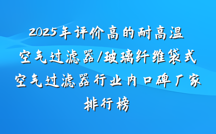 2025年评价高的耐高温空气过滤器/玻璃纤维袋式空气过滤器行业内口碑厂家排行榜