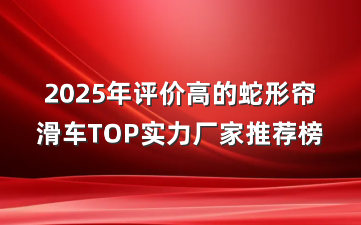 2025年评价高的蛇形帘滑车TOP实力厂家推荐榜