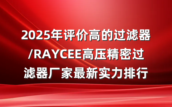 2025年评价高的过滤器/RAYCEE高压精密过滤器厂家最新实力排行