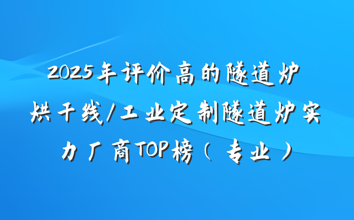 2025年评价高的隧道炉烘干线/工业定制隧道炉实力厂商TOP榜(专业)
