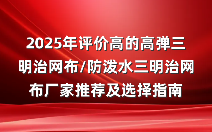2025年评价高的高弹三明治网布/防泼水三明治网布厂家推荐及选择指南
