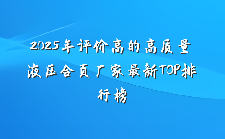 2025年评价高的高质量液压合页厂家最新TOP排行榜