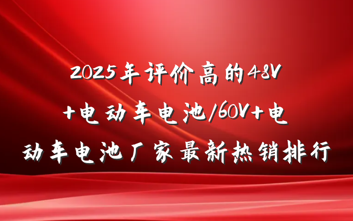 2025年评价高的48V 电动车电池/60V 电动车电池厂家最新热销排行