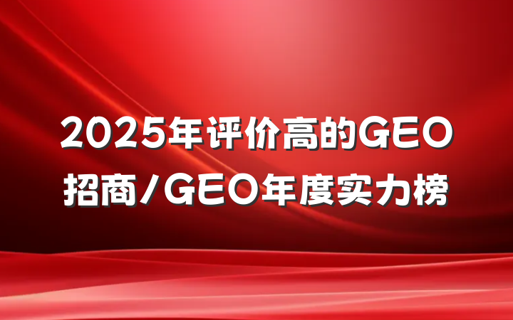 2025年评价高的GEO招商/GEO年度实力榜