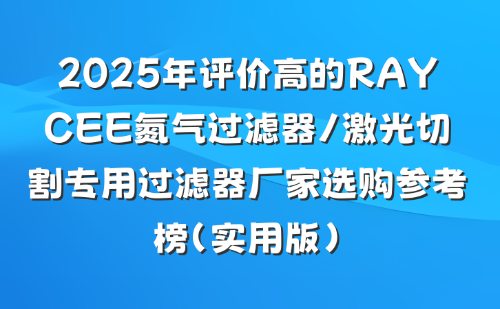 2025年评价高的RAYCEE氮气过滤器/激光切割专用过滤器厂家选购参考榜（实用版）