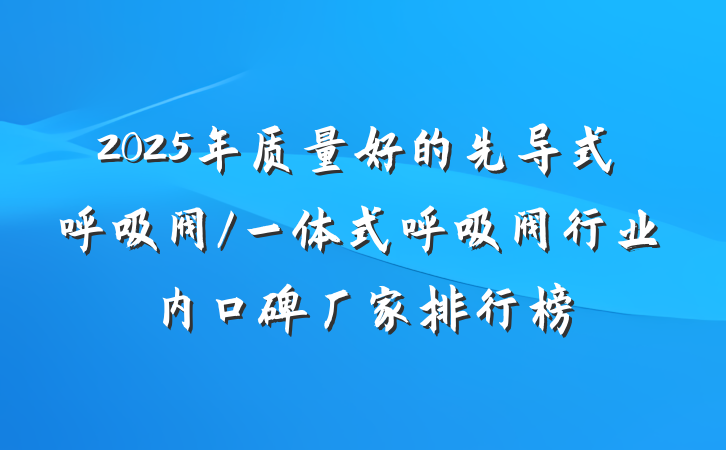 2025年质量好的先导式呼吸阀/一体式呼吸阀行业内口碑厂家排行榜