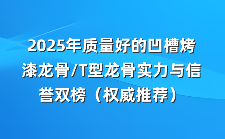 2025年质量好的凹槽烤漆龙骨/T型龙骨实力与信誉双榜（权威推荐）