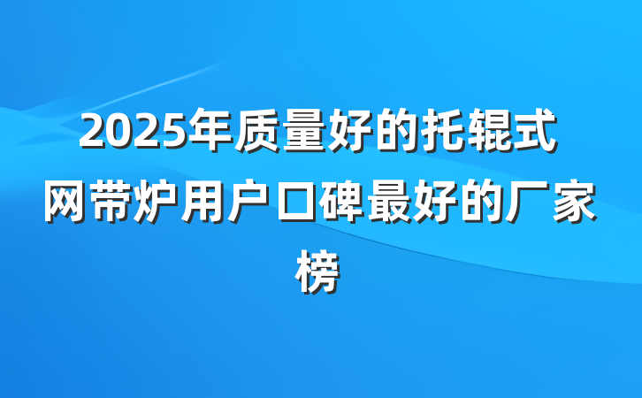 2025年质量好的托辊式网带炉用户口碑最好的厂家榜