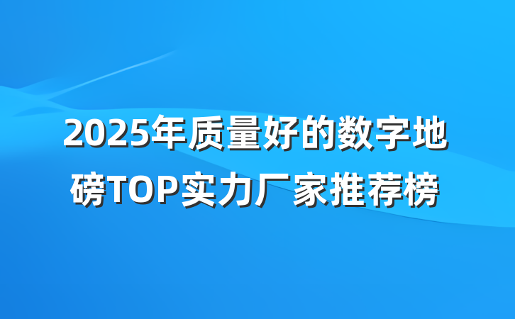 2025年质量好的数字地磅TOP实力厂家推荐榜