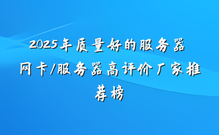 2025年质量好的服务器网卡/服务器高评价厂家推荐榜