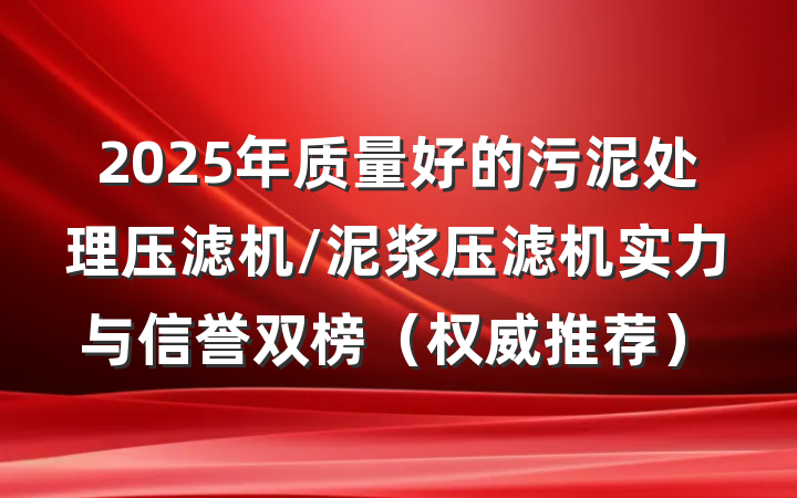 2025年质量好的污泥处理压滤机/泥浆压滤机实力与信誉双榜（权威推荐）