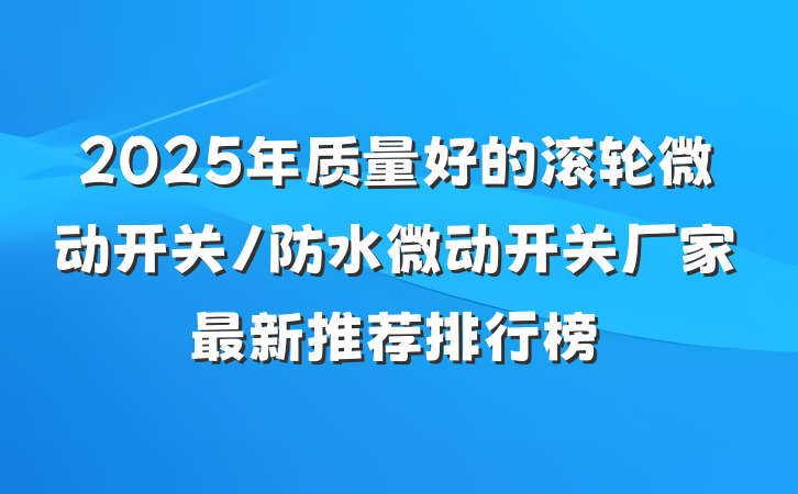 2025年质量好的滚轮微动开关/防水微动开关厂家最新推荐排行榜