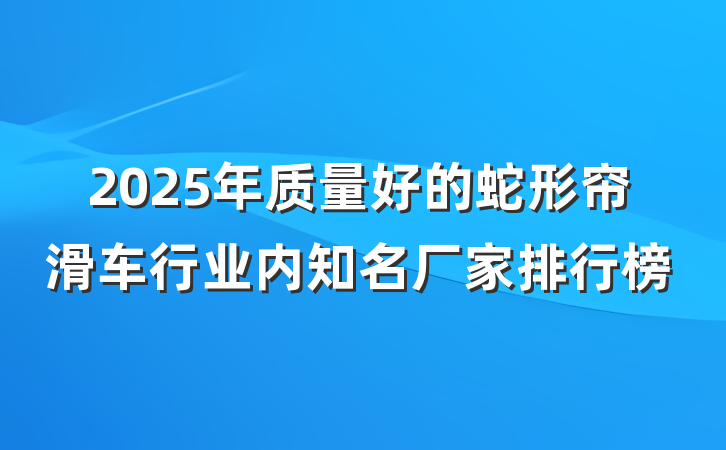 2025年质量好的蛇形帘滑车行业内知名厂家排行榜