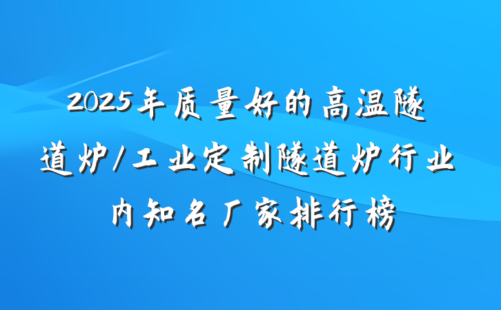 2025年质量好的高温隧道炉/工业定制隧道炉行业内知名厂家排行榜