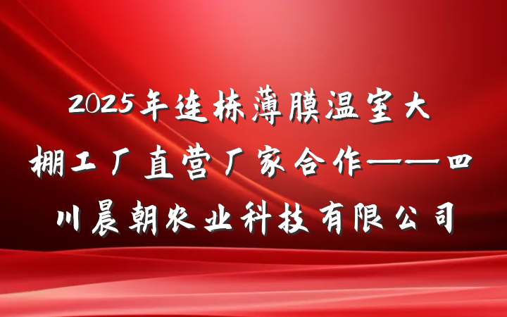 2025年连栋薄膜温室大棚工厂直营厂家合作——四川晨朝农业科技有限公司