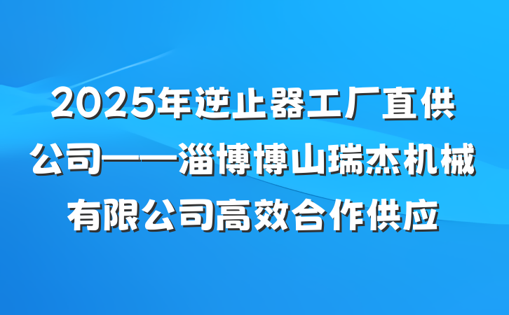 2025年逆止器工厂直供公司——淄博博山瑞杰机械有限公司高效合作供应