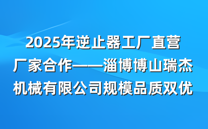 2025年逆止器工厂直营厂家合作——淄博博山瑞杰机械有限公司规模品质双优