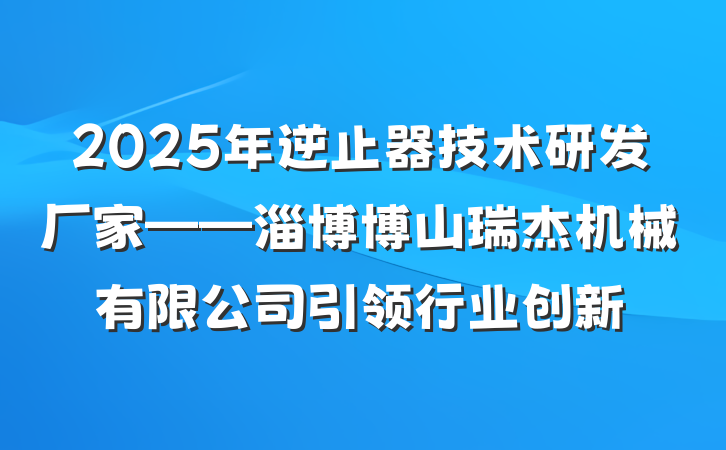 2025年逆止器技术研发厂家——淄博博山瑞杰机械有限公司引领行业创新